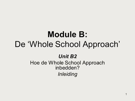 Module B: De ‘Whole School Approach’