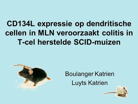 CD134L expressie op dendritische cellen in MLN veroorzaakt colitis in T-cel herstelde SCID-muizen Boulanger Katrien Luyts Katrien.