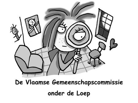 De Vlaamse Gemeenschapscommissie onder de Loep. België een puzzel.