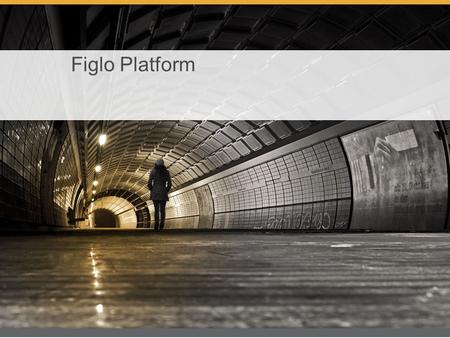 Figlo Platform. Bevindingen van de pilotgroep De volgende versie Blik vooruit Agenda.