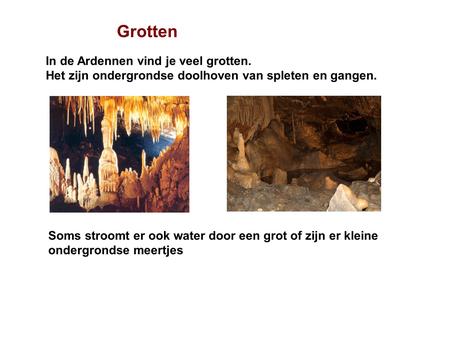 Grotten In de Ardennen vind je veel grotten.