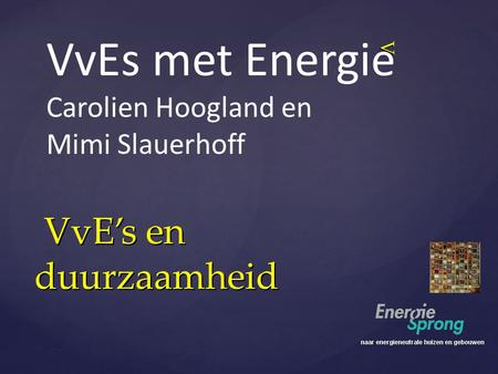 VvEs met Energie VvE’s en duurzaamheid Carolien Hoogland en