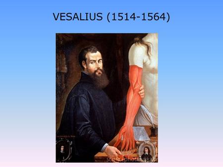 VESALIUS (1514-1564).