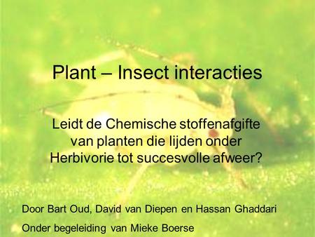 Plant – Insect interacties