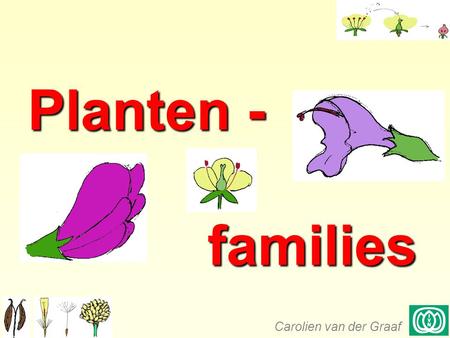 Planten - 				families Carolien van der Graaf.
