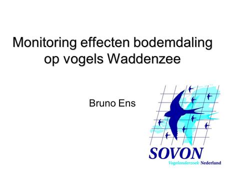 Monitoring effecten bodemdaling op vogels Waddenzee Bruno Ens.