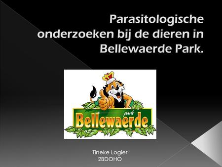 Parasitologische onderzoeken bij de dieren in Bellewaerde Park.