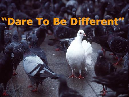 “Dare To Be Different” DARE TO BE DIFFERENT