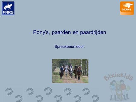 Pony’s, paarden en paardrijden