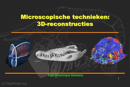 Microscopische technieken: 3D-reconstructies