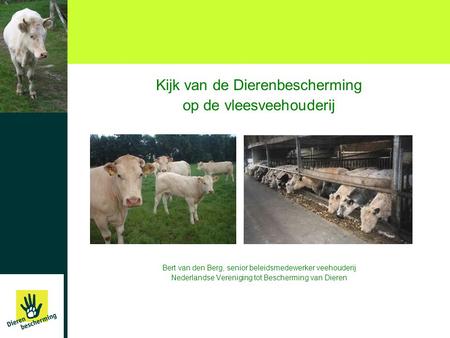 Kijk van de Dierenbescherming op de vleesveehouderij Bert van den Berg, senior beleidsmedewerker veehouderij Nederlandse Vereniging tot Bescherming van.