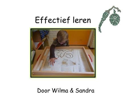 Effectief leren Door Wilma & Sandra.