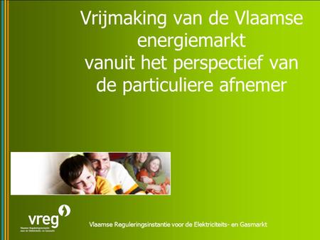 Vlaamse Reguleringsinstantie voor de Elektriciteits- en Gasmarkt