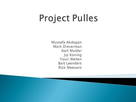 Project Pulles Mustafa Akdogan Mark Dreverman Aart Mulder Jip Koning