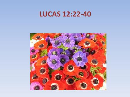 LUCAS 12:22-40.
