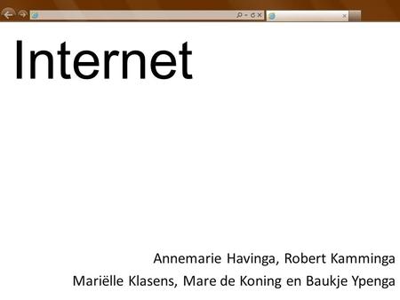 Internet Annemarie Havinga, Robert Kamminga