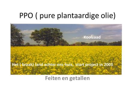 PPO ( pure plantaardige olie) Feiten en getallen Het ( braak) land achter ons huis, start project in 2003 Koolzaad.