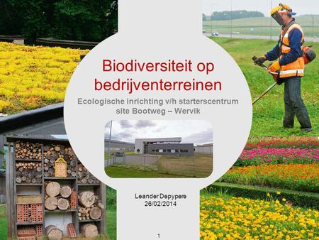 Ecologische inrichting v/h starterscentrum site Bootweg – Wervik