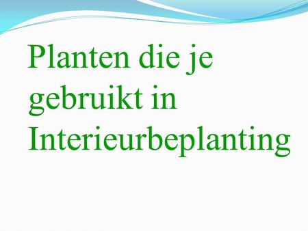 Planten die je gebruikt in Interieurbeplanting