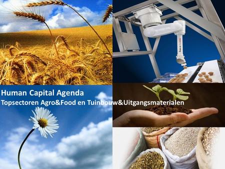 Human Capital Agenda Topsectoren Agro&Food en Tuinbouw&Uitgangsmaterialen.