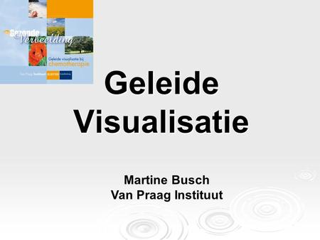 Geleide Visualisatie Martine Busch Van Praag Instituut.