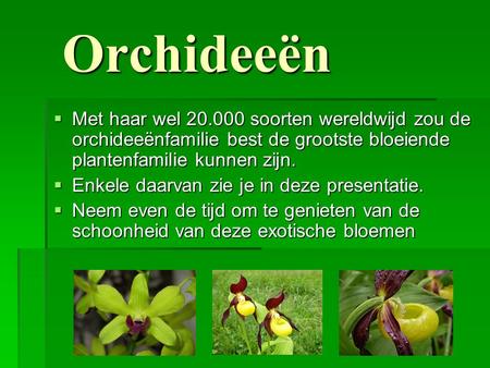 Orchideeën Met haar wel 20.000 soorten wereldwijd zou de orchideeënfamilie best de grootste bloeiende plantenfamilie kunnen zijn. Enkele daarvan zie je.