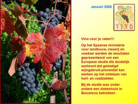 Januari 2008 Vino voor je vaten!!! Op het Spaanse ministerie voor landbouw, visserij en voedsel werden de resultaten gepresenteerd van een Europese studie.