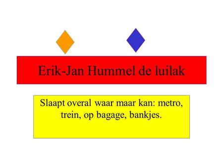 Erik-Jan Hummel de luilak
