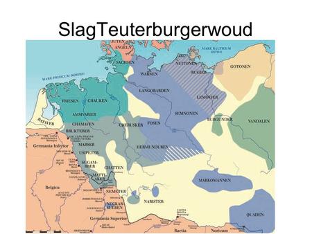 SlagTeuterburgerwoud
