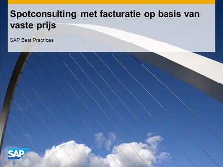 Spotconsulting met facturatie op basis van vaste prijs SAP Best Practices.