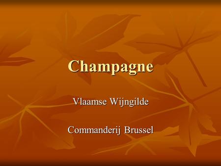 Vlaamse Wijngilde Commanderij Brussel
