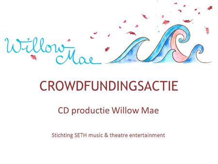 CROWDFUNDINGSACTIE CD productie Willow Mae Stichting SETH music & theatre entertainment.