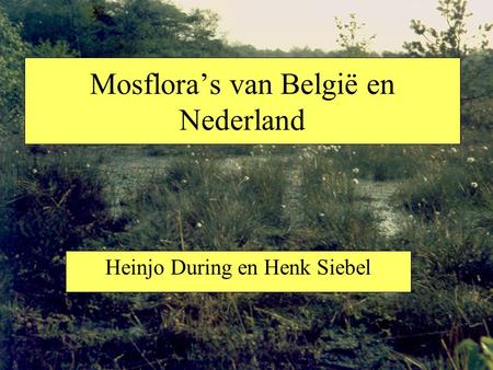 Mosflora’s van België en Nederland