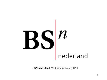 BSN nederland De Action Learning MBA