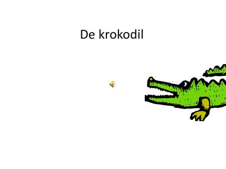 De krokodil.
