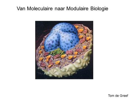 Van Moleculaire naar Modulaire Biologie