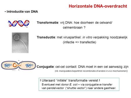 Horizontale DNA-overdracht