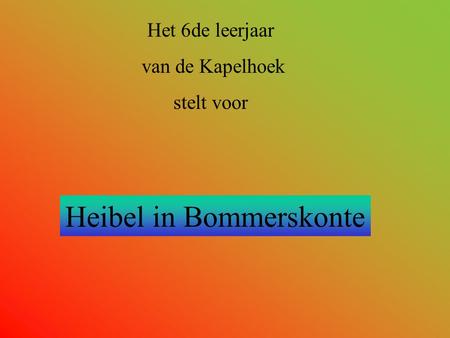 Het 6de leerjaar van de Kapelhoek stelt voor Heibel in Bommerskonte.