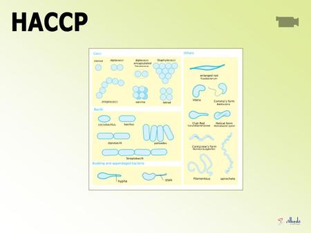 HACCP.