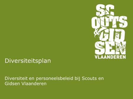 Diversiteit en personeelsbeleid bij Scouts en Gidsen Vlaanderen