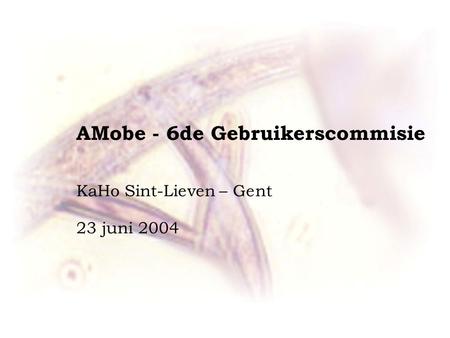 AMobe - 6de Gebruikerscommisie KaHo Sint-Lieven – Gent 23 juni 2004.