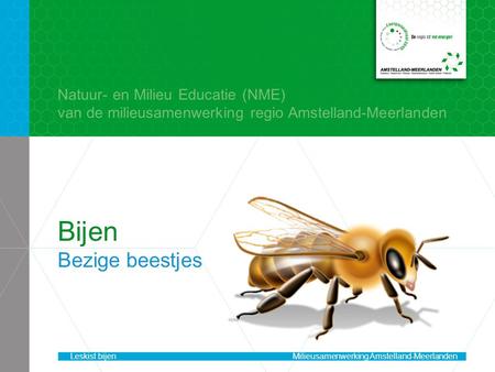 Bijen Bezige beestjes Natuur- en Milieu Educatie (NME)