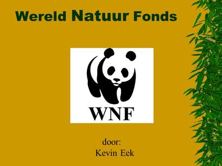 Wereld Natuur Fonds door: Kevin Eek.