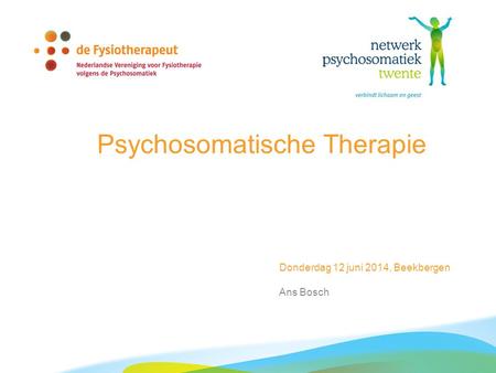 Psychosomatische Therapie