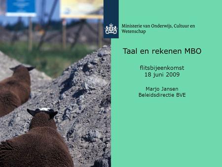 Taal en rekenen MBO flitsbijeenkomst 18 juni 2009 Marjo Jansen Beleidsdirectie BVE.