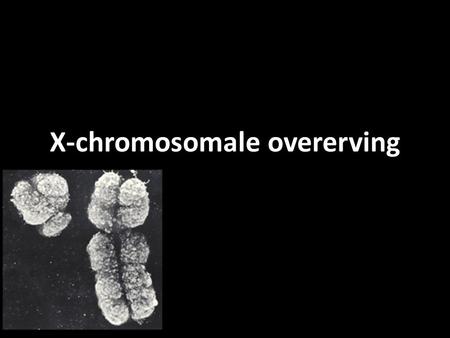 X-chromosomale overerving