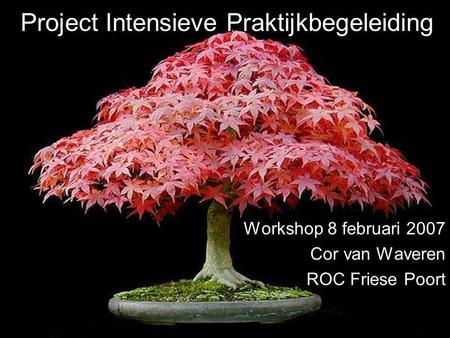 Project Intensieve Praktijkbegeleiding Workshop 8 februari 2007 Cor van Waveren ROC Friese Poort.