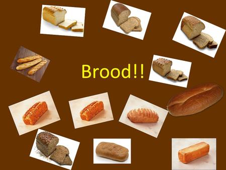 Brood!!.