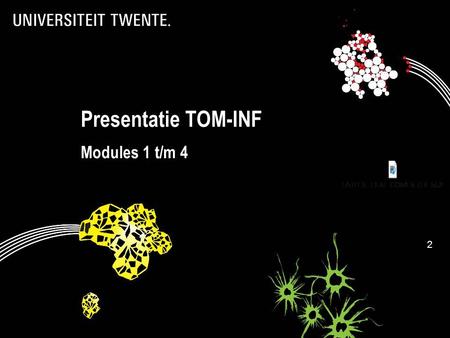 Presentatie TOM-INF Modules 1 t/m 4 2. Programma  Algemeen deel: Rom Langerak (+/- 5 min.)  Academische vaardigheden: Anne Remke (+/- 5 min)  Module.