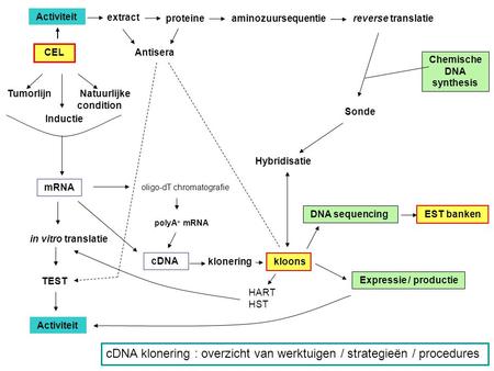 cDNA klonering : overzicht van werktuigen / strategieën / procedures